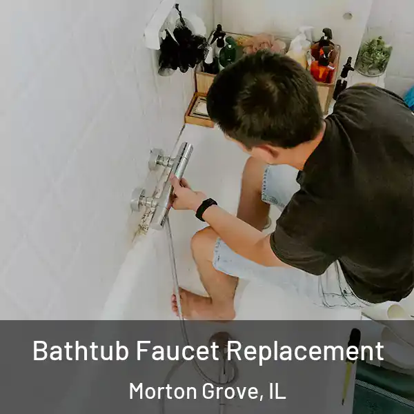 Bathtub Faucet Replacement Morton Grove, IL