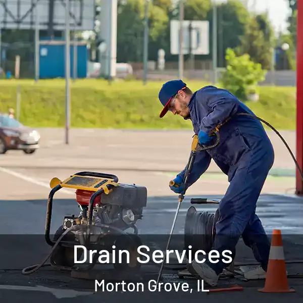  Drain Services Morton Grove, IL