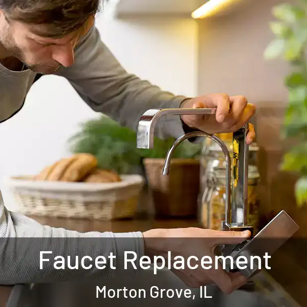  Faucet Replacement Morton Grove, IL