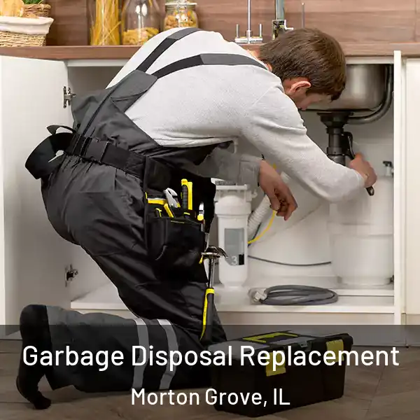  Garbage Disposal Replacement Morton Grove, IL