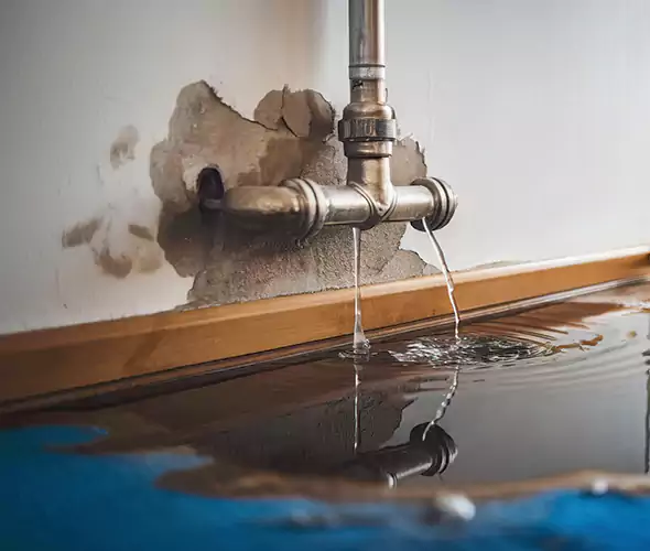 Professional Water Damage Restoration Experts in Morton Grove, IL — Fast, Reliable & Certified