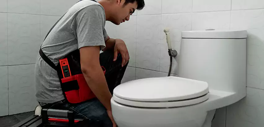 Toilet Repair in Morton Grove