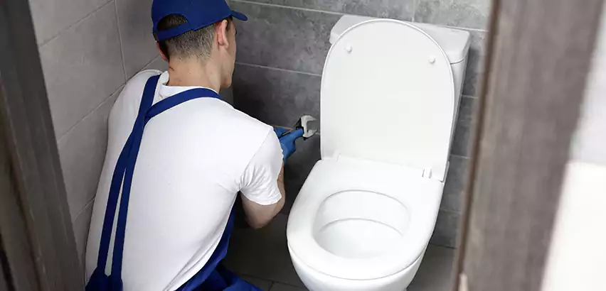 Toilet Lid Replacement in Morton Grove