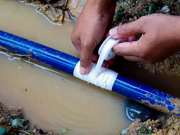  Why Choose Morton Grove Plumbing for Leak Detection in Morton Grove, IL?]