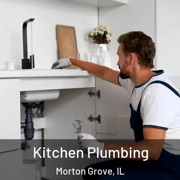  Kitchen Plumbing Morton Grove, IL