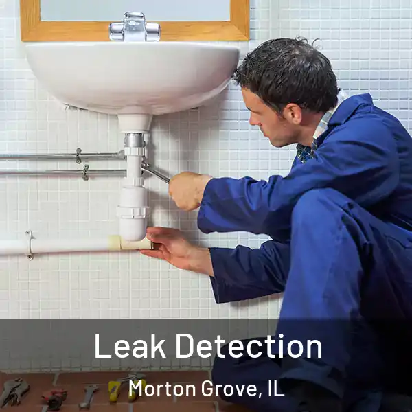  Leak Detection Morton Grove, IL
