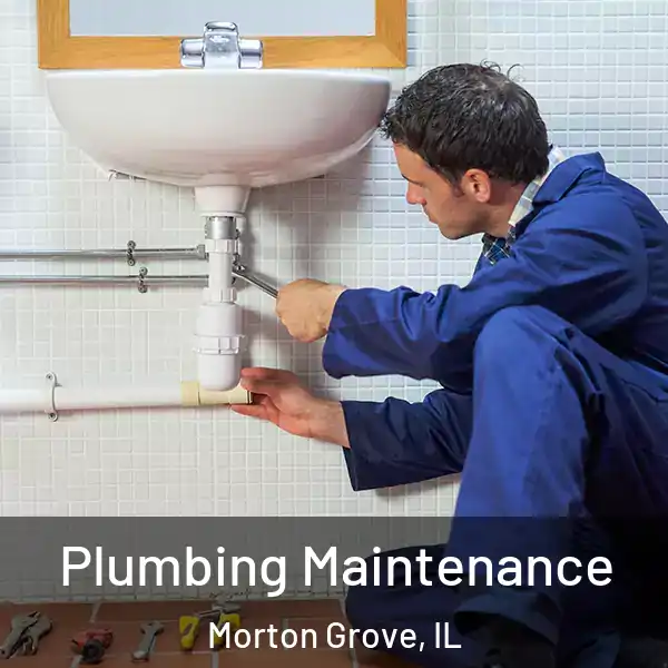  Plumbing Maintenance Morton Grove, IL