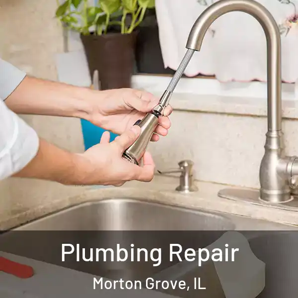 Plumbing Repair Morton Grove, IL