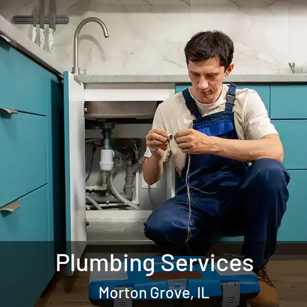  Plumbing Services Morton Grove, IL