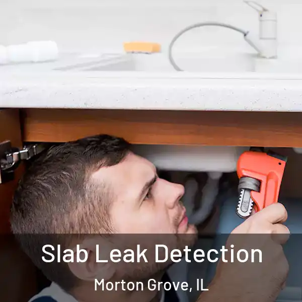  Slab Leak Detection Morton Grove, IL