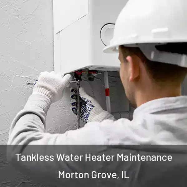  Tankless Water Heater Maintenance Morton Grove, IL