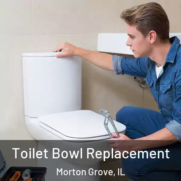  Toilet Bowl Replacement Morton Grove, IL
