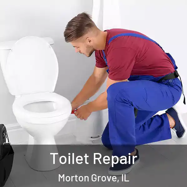  Toilet Repair Morton Grove, IL