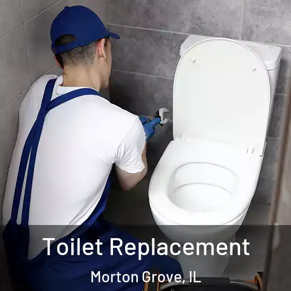  Toilet Replacement Morton Grove, IL