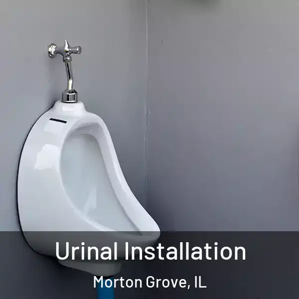  Urinal Installation Morton Grove, IL