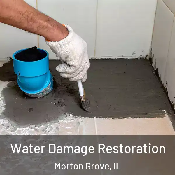  Water Damage Restoration Morton Grove, IL