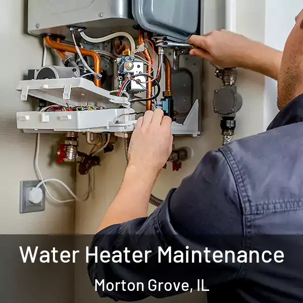  Water Heater Maintenance Morton Grove, IL