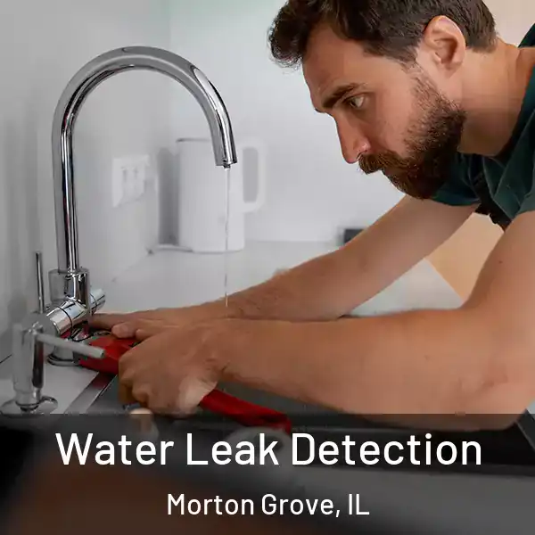  Water Leak Detection Morton Grove, IL